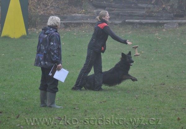 Zvod o pohr msta Sadsk 20.10.2012